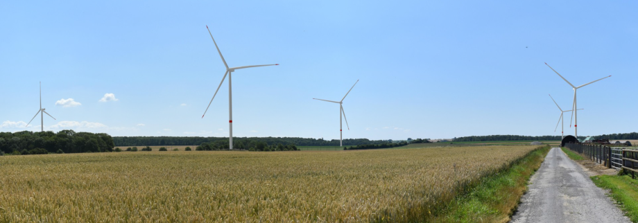 Eneco(Abattoir)-BoisBorsu.png