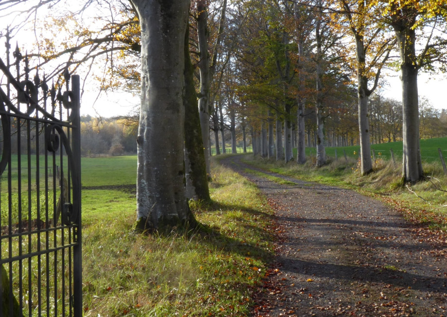 Villemont_-_automne_2020_-_recadr&eacute;_.jpg